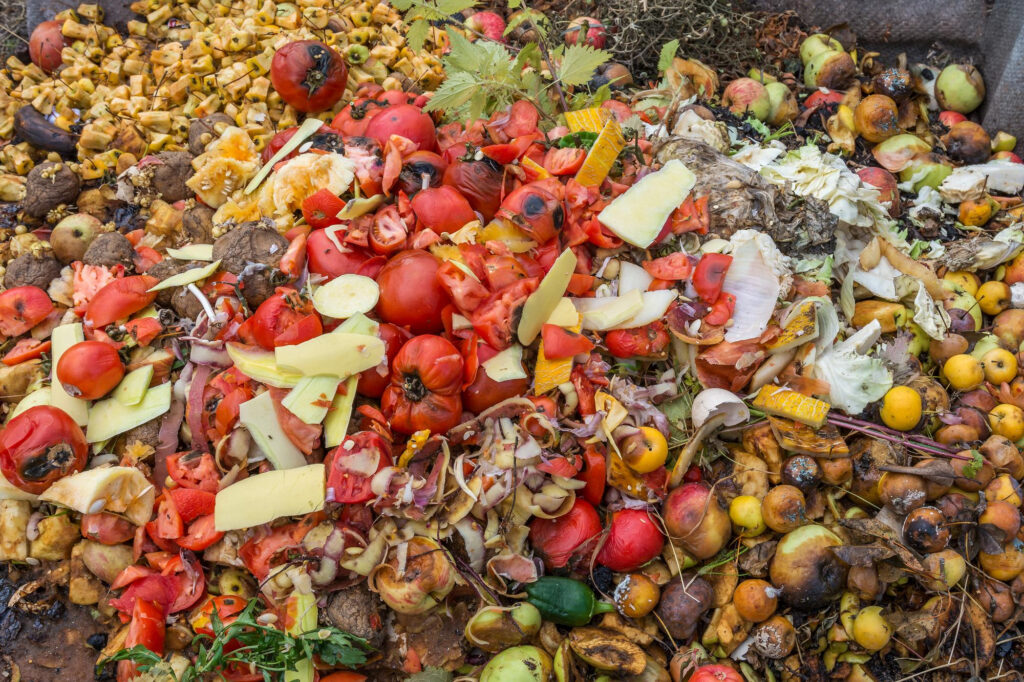 Gros plan sur un tas de déchets organiques et de fruits et légumes pourris, symbolisant le gaspillage alimentaire ou le compostage