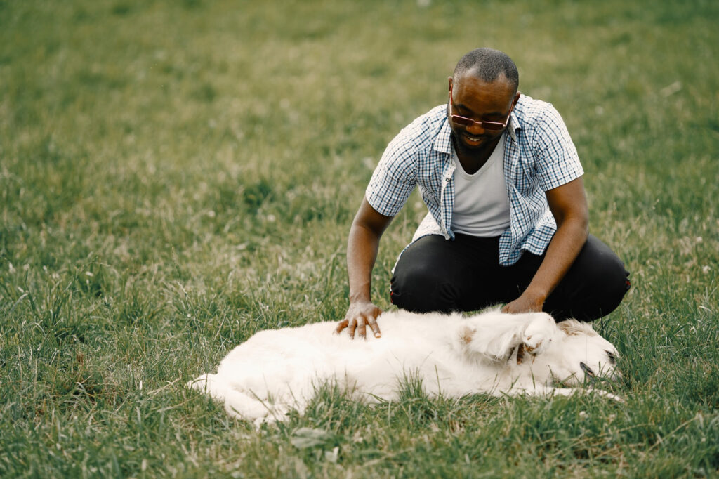 Homme aux lunettes de soleil, souriant, caressant un chien blanc dans un champ d'herbe verte.