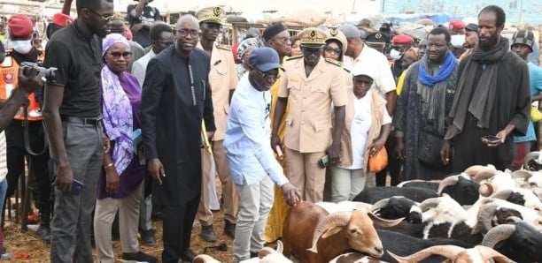 Le ministre de l'Agriculture sénégalais, M. Madouba, et sa délégation visitant une ferme ovine, entourés de moutons et de personnes.