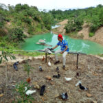 Homme en casquette rouge et chemise bleue, nourrissant des oiseaux près d'un plan d'eau turquoise dans un paysage vallonné