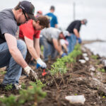 Groupe de personnes plantant de jeunes arbustes le long d'une berge ou dans un projet de reboisement communautaire.