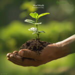 Main d'adulte tenant une jeune pousse d'arbre avec de la terre, symbolisant la protection de l'environnement et la plantation.