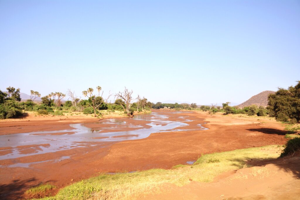 Lit de rivière asséché ou à faible débit, avec des sédiments rouges et des arbres clairsemés sous un ciel bleu dégagé.